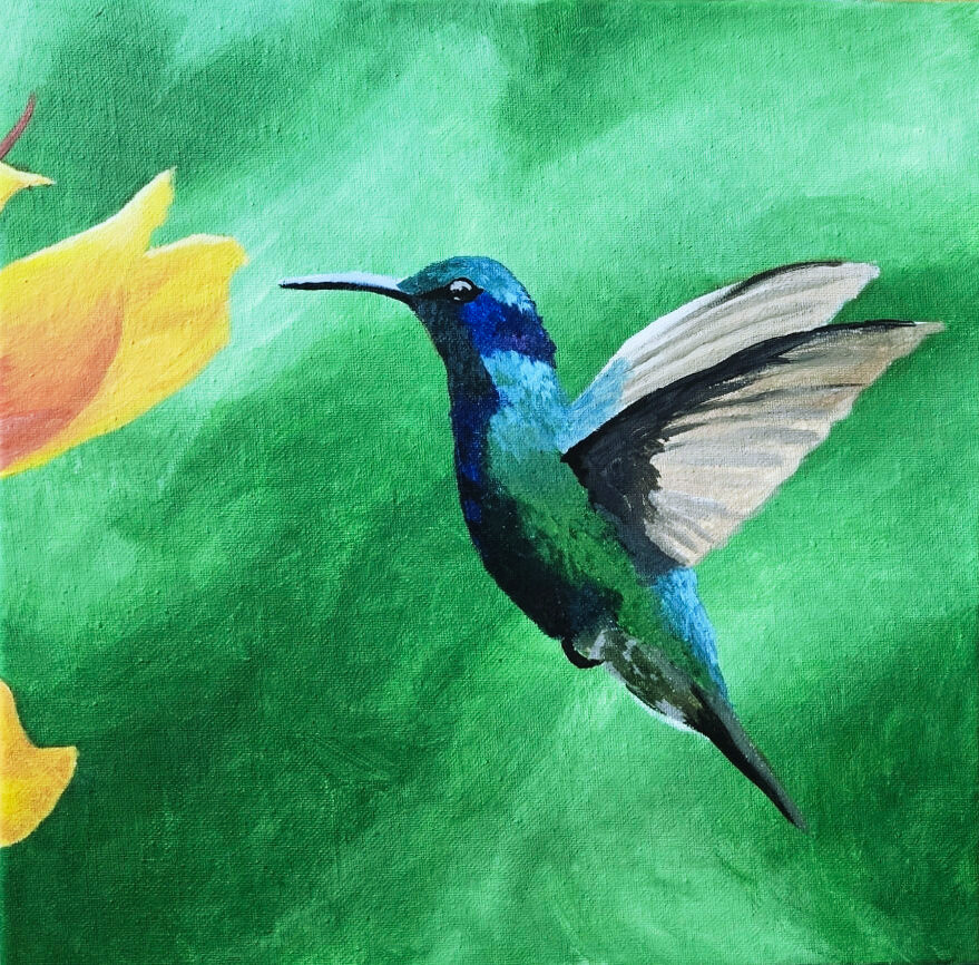 Hummingbird